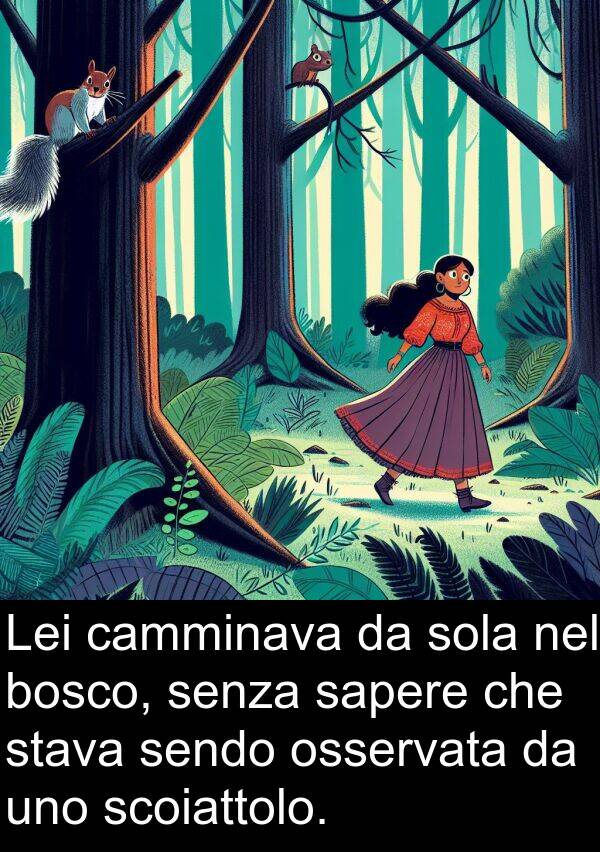 camminava: Lei camminava da sola nel bosco, senza sapere che stava sendo osservata da uno scoiattolo.