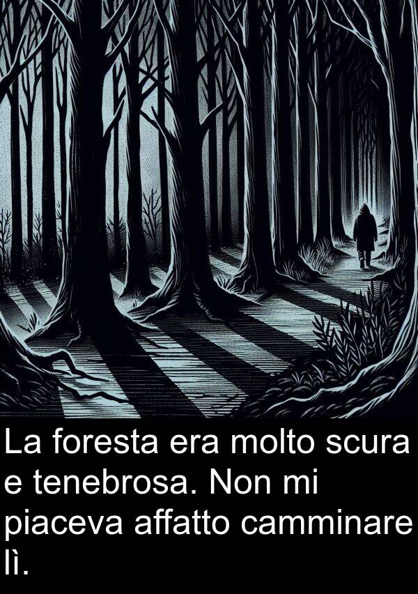 camminare: La foresta era molto scura e tenebrosa. Non mi piaceva affatto camminare lì.