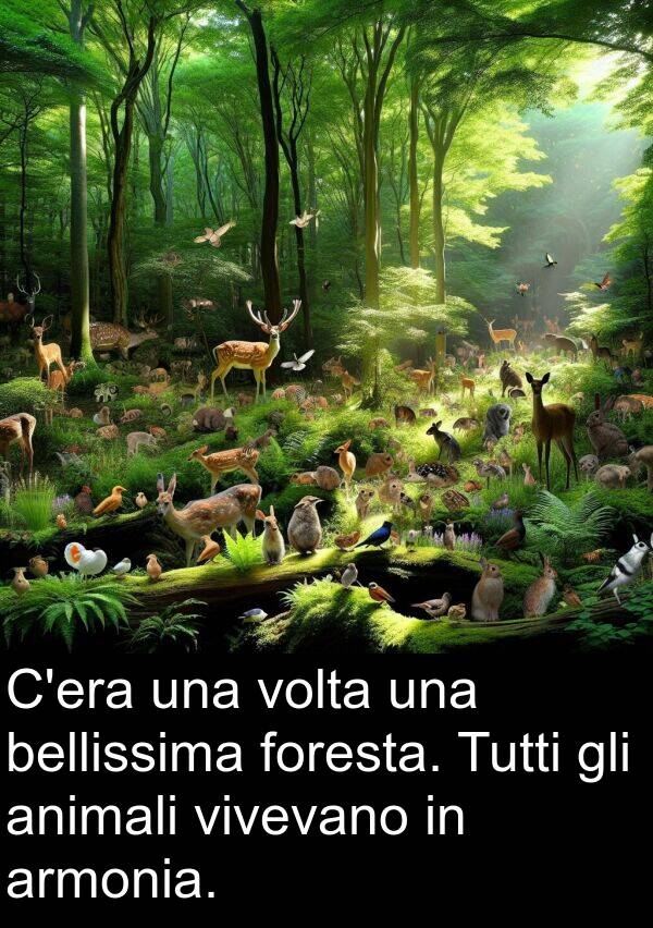 bellissima: C'era una volta una bellissima foresta. Tutti gli animali vivevano in armonia.