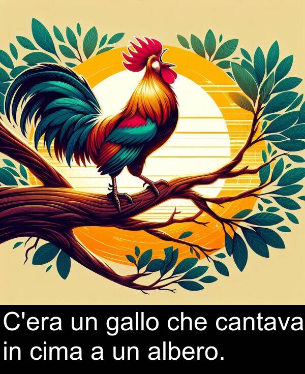 gallo: C'era un gallo che cantava in cima a un albero.