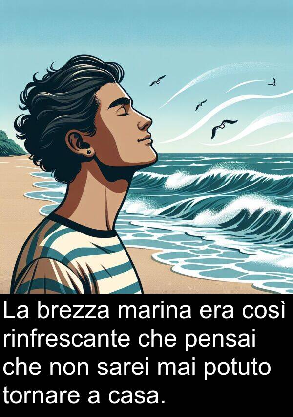 rinfrescante: La brezza marina era così rinfrescante che pensai che non sarei mai potuto tornare a casa.