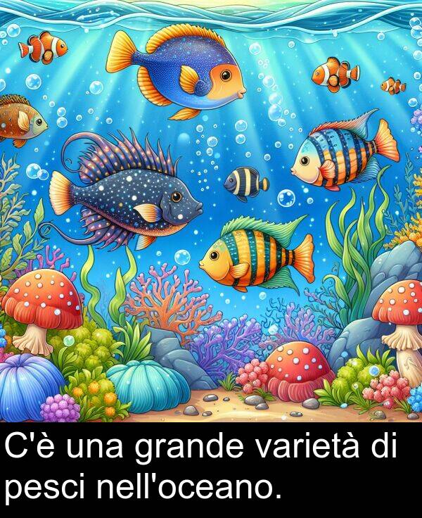 varietà: C'è una grande varietà di pesci nell'oceano.