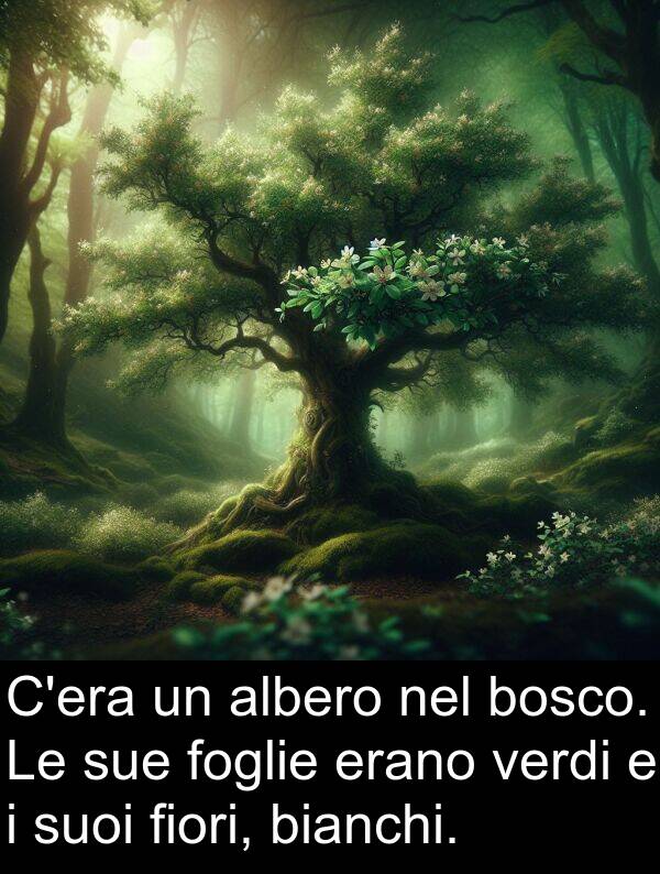 bianchi: C'era un albero nel bosco. Le sue foglie erano verdi e i suoi fiori, bianchi.