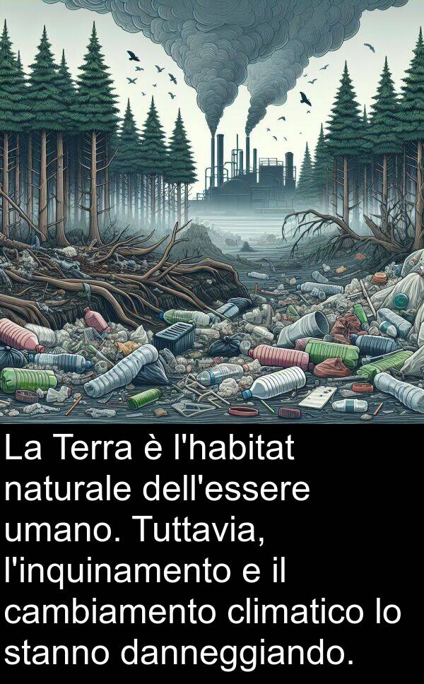 climatico: La Terra è l'habitat naturale dell'essere umano. Tuttavia, l'inquinamento e il cambiamento climatico lo stanno danneggiando.