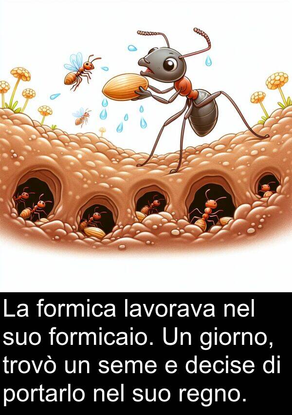 giorno: La formica lavorava nel suo formicaio. Un giorno, trovò un seme e decise di portarlo nel suo regno.