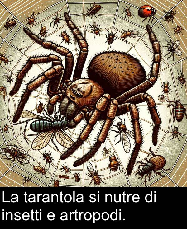 insetti: La tarantola si nutre di insetti e artropodi.