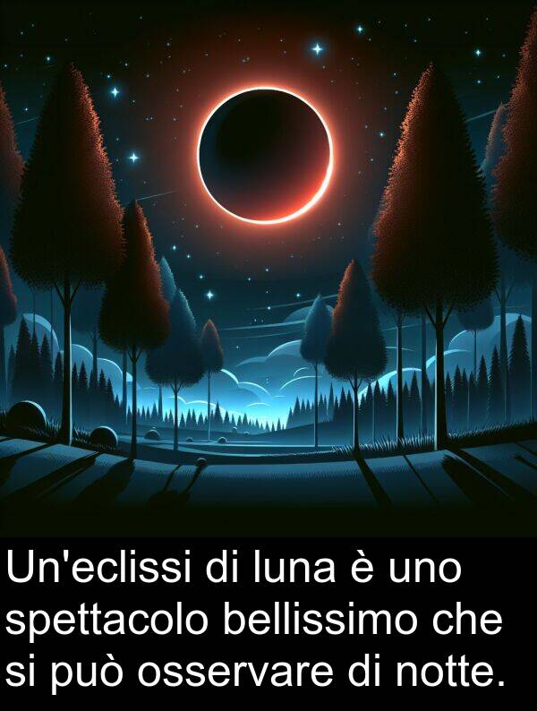 notte: Un'eclissi di luna è uno spettacolo bellissimo che si può osservare di notte.