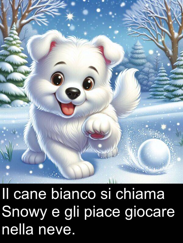 chiama: Il cane bianco si chiama Snowy e gli piace giocare nella neve.