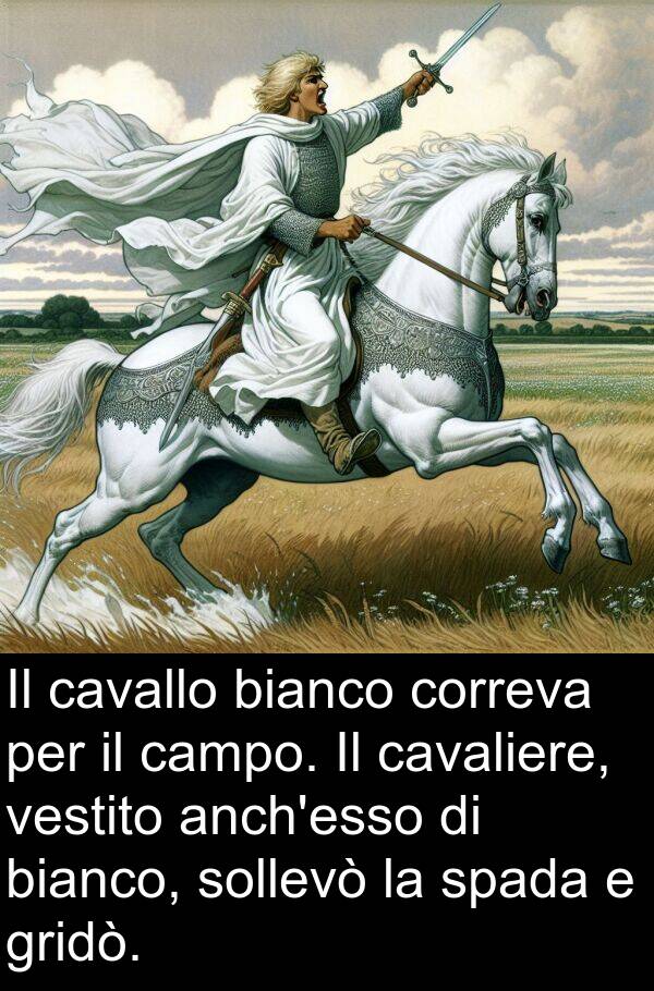 vestito: Il cavallo bianco correva per il campo. Il cavaliere, vestito anch'esso di bianco, sollevò la spada e gridò.