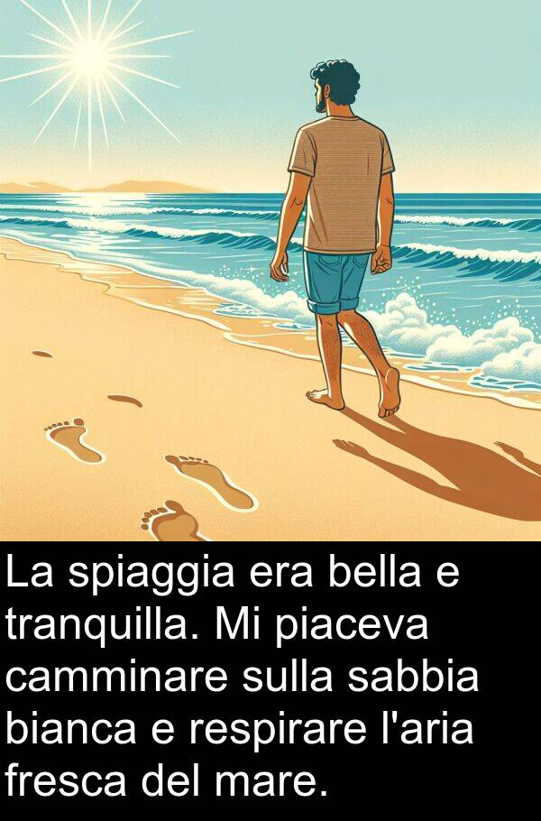 camminare: La spiaggia era bella e tranquilla. Mi piaceva camminare sulla sabbia bianca e respirare l'aria fresca del mare.