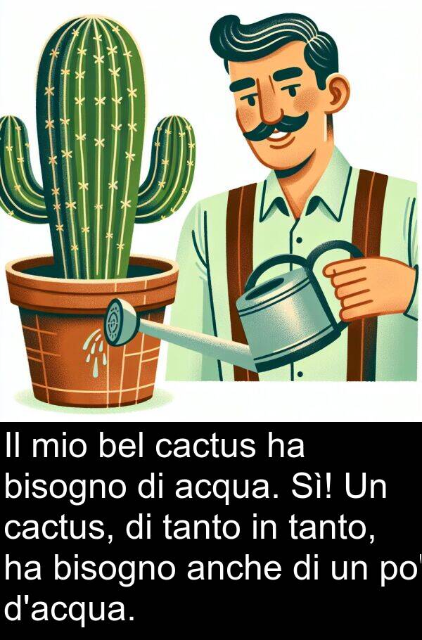 anche: Il mio bel cactus ha bisogno di acqua. Sì! Un cactus, di tanto in tanto, ha bisogno anche di un po' d'acqua.