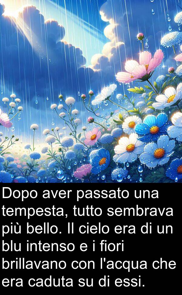 tempesta: Dopo aver passato una tempesta, tutto sembrava più bello. Il cielo era di un blu intenso e i fiori brillavano con l'acqua che era caduta su di essi.