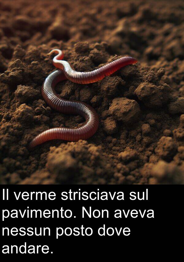 verme: Il verme strisciava sul pavimento. Non aveva nessun posto dove andare.