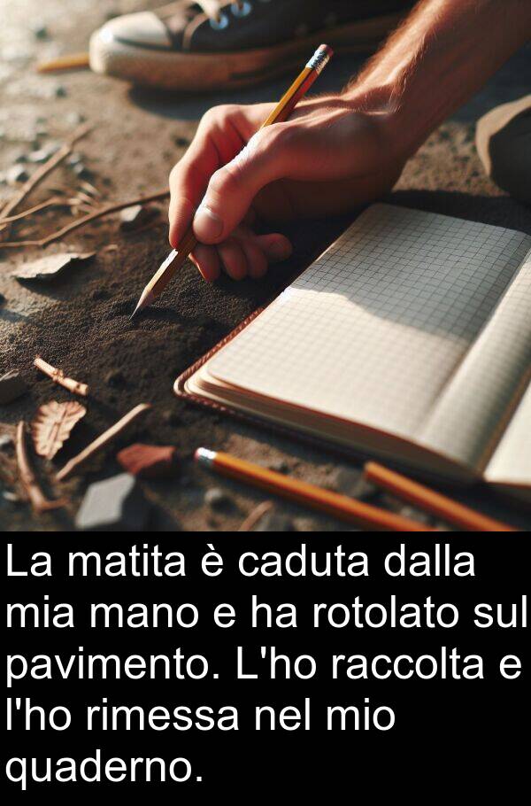 raccolta: La matita è caduta dalla mia mano e ha rotolato sul pavimento. L'ho raccolta e l'ho rimessa nel mio quaderno.