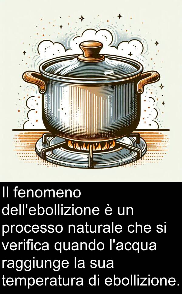 fenomeno: Il fenomeno dell'ebollizione è un processo naturale che si verifica quando l'acqua raggiunge la sua temperatura di ebollizione.