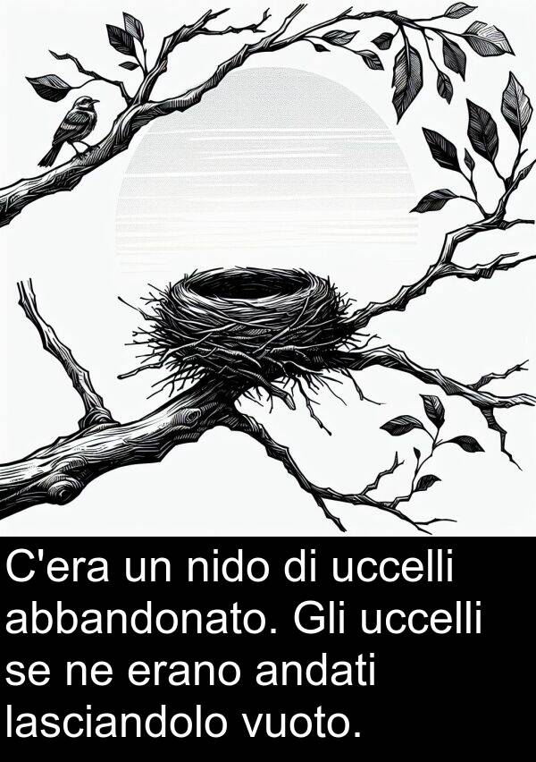 nido: C'era un nido di uccelli abbandonato. Gli uccelli se ne erano andati lasciandolo vuoto.