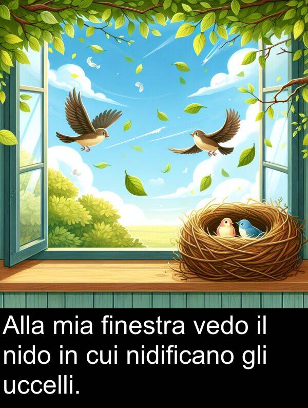 vedo: Alla mia finestra vedo il nido in cui nidificano gli uccelli.