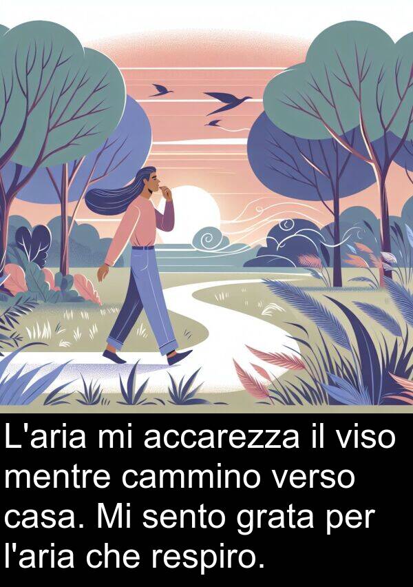 verso: L'aria mi accarezza il viso mentre cammino verso casa. Mi sento grata per l'aria che respiro.