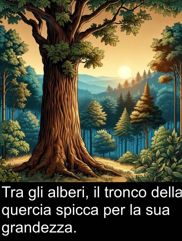 quercia: Tra gli alberi, il tronco della quercia spicca per la sua grandezza.