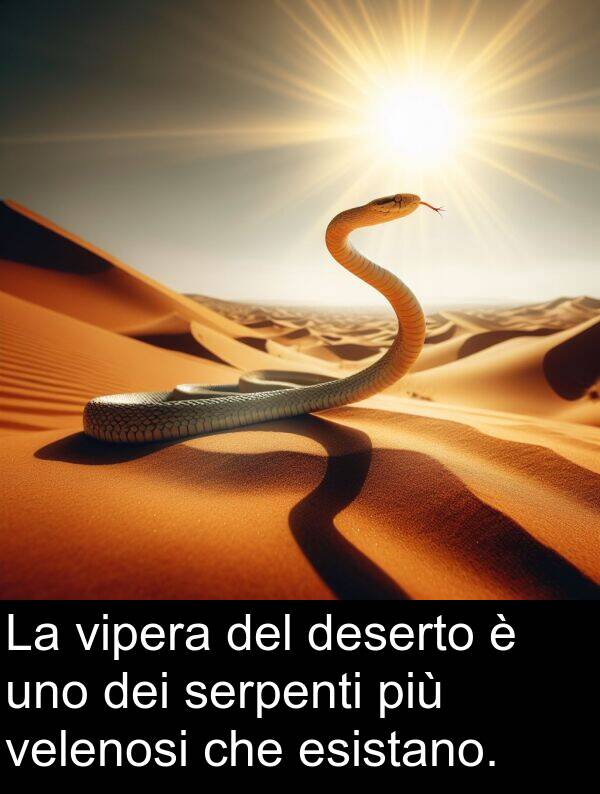 velenosi: La vipera del deserto è uno dei serpenti più velenosi che esistano.