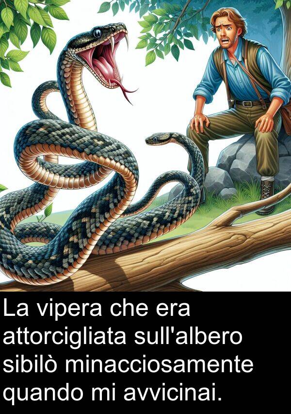 sibilò: La vipera che era attorcigliata sull'albero sibilò minacciosamente quando mi avvicinai.