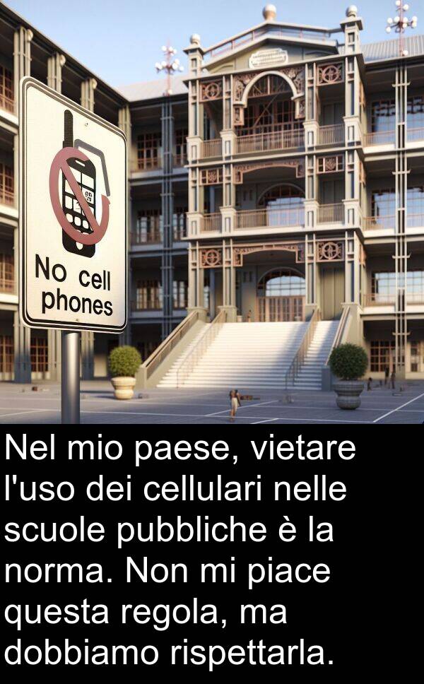 nelle: Nel mio paese, vietare l'uso dei cellulari nelle scuole pubbliche è la norma. Non mi piace questa regola, ma dobbiamo rispettarla.