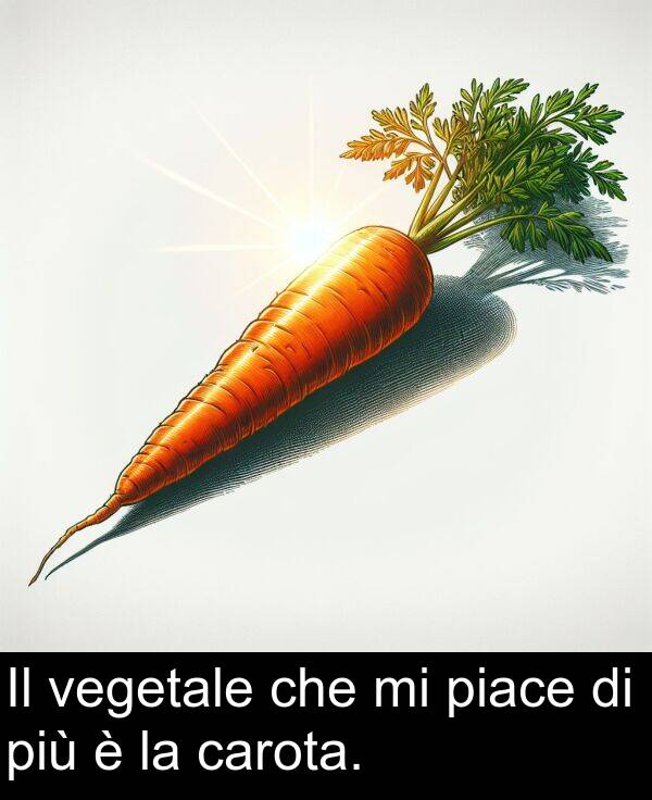 vegetale: Il vegetale che mi piace di più è la carota.