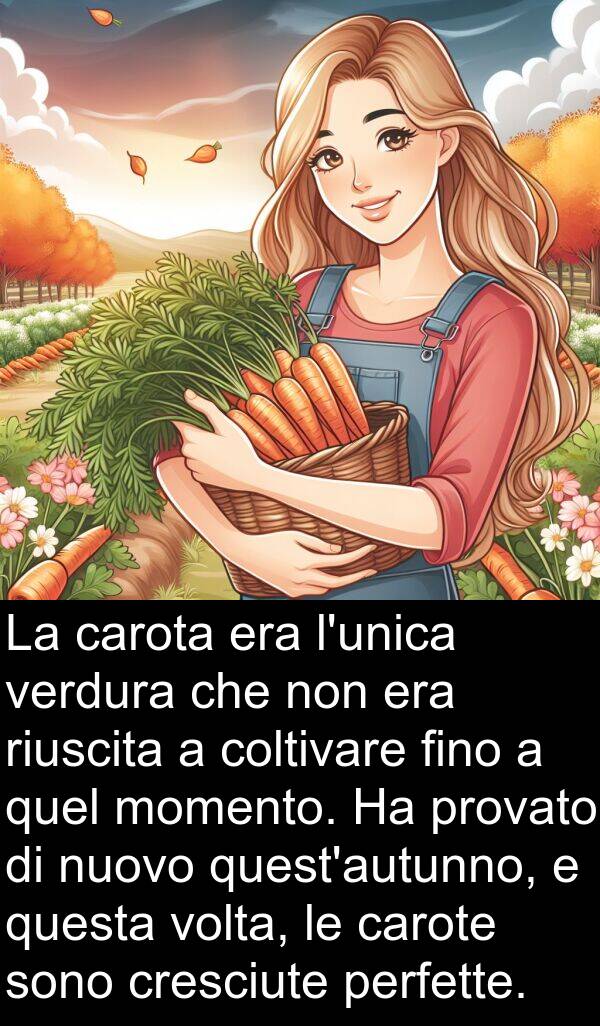 verdura: La carota era l'unica verdura che non era riuscita a coltivare fino a quel momento. Ha provato di nuovo quest'autunno, e questa volta, le carote sono cresciute perfette.