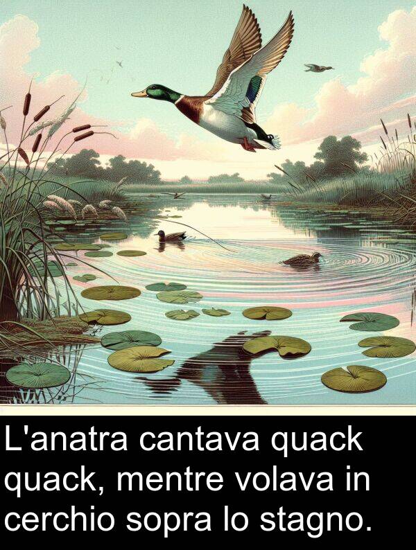 cantava: L'anatra cantava quack quack, mentre volava in cerchio sopra lo stagno.