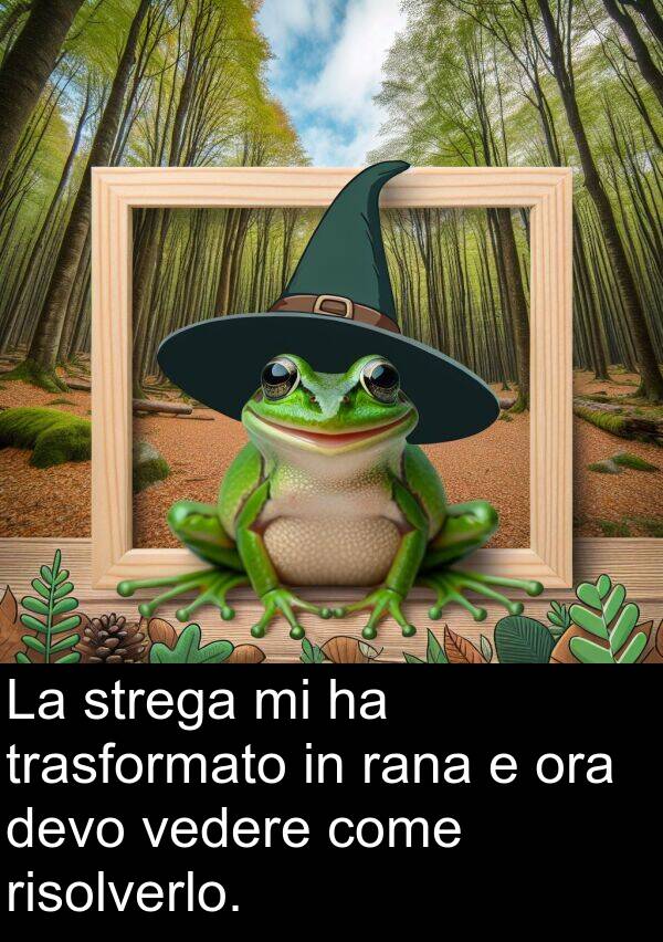 strega: La strega mi ha trasformato in rana e ora devo vedere come risolverlo.