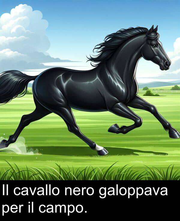 nero: Il cavallo nero galoppava per il campo.