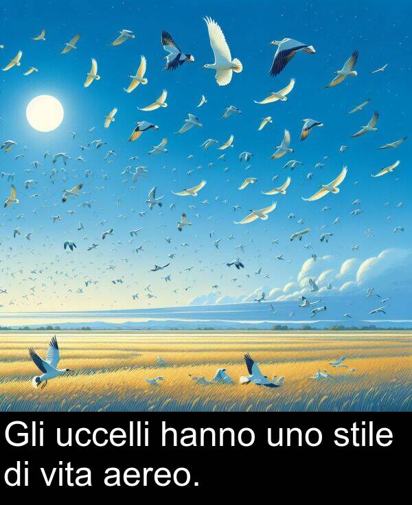 uccelli: Gli uccelli hanno uno stile di vita aereo.