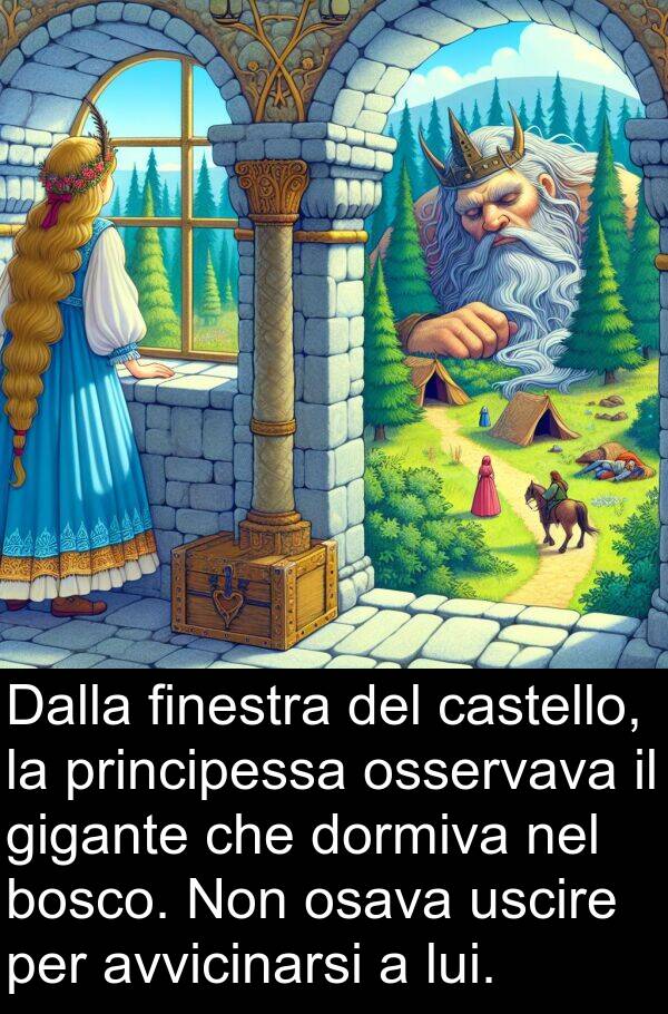 principessa: Dalla finestra del castello, la principessa osservava il gigante che dormiva nel bosco. Non osava uscire per avvicinarsi a lui.