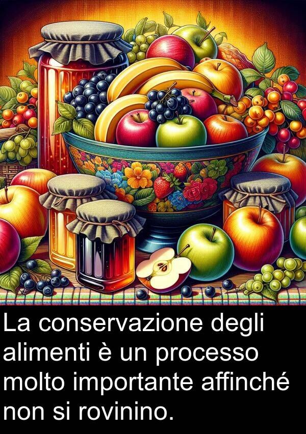 importante: La conservazione degli alimenti è un processo molto importante affinché non si rovinino.