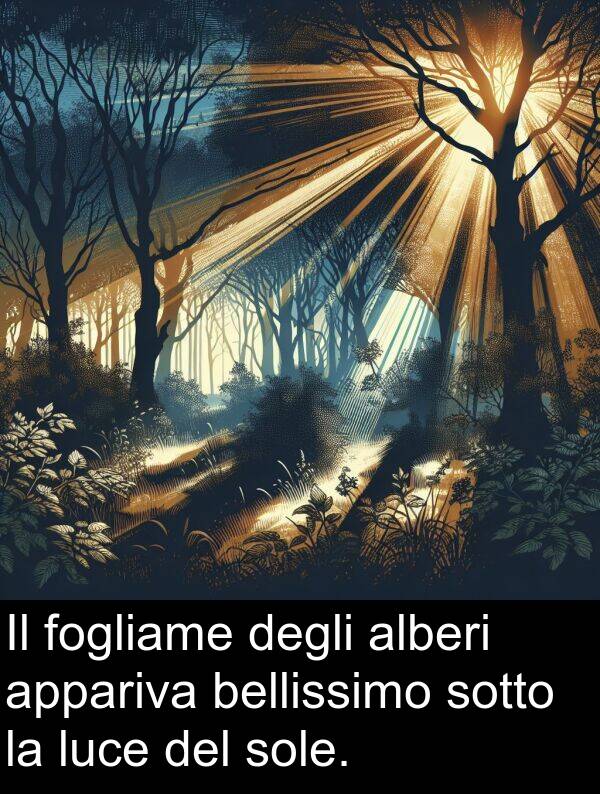 degli: Il fogliame degli alberi appariva bellissimo sotto la luce del sole.