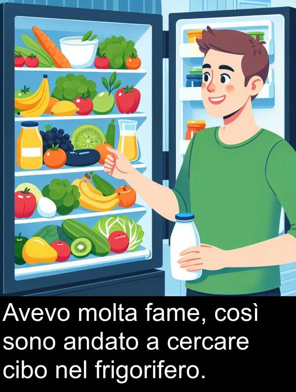 fame: Avevo molta fame, così sono andato a cercare cibo nel frigorifero.