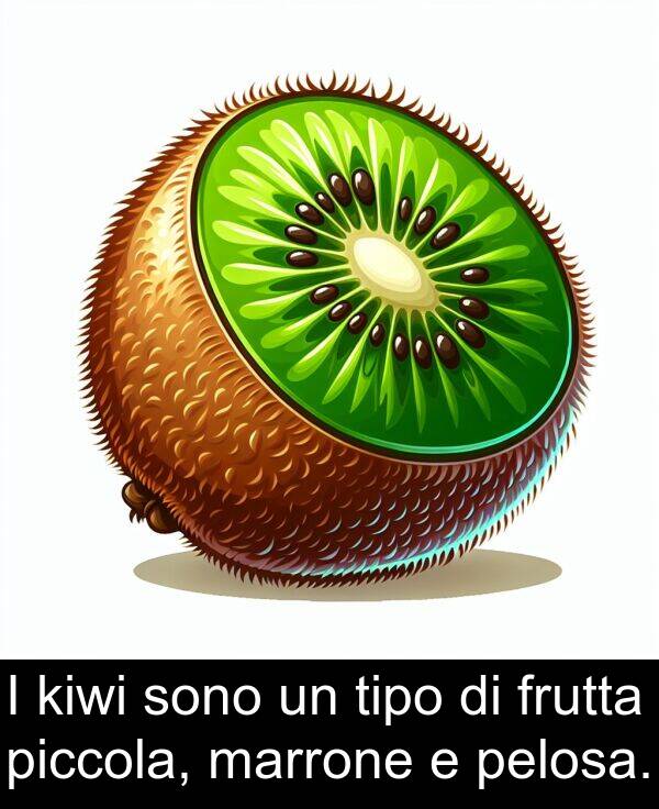 kiwi: I kiwi sono un tipo di frutta piccola, marrone e pelosa.