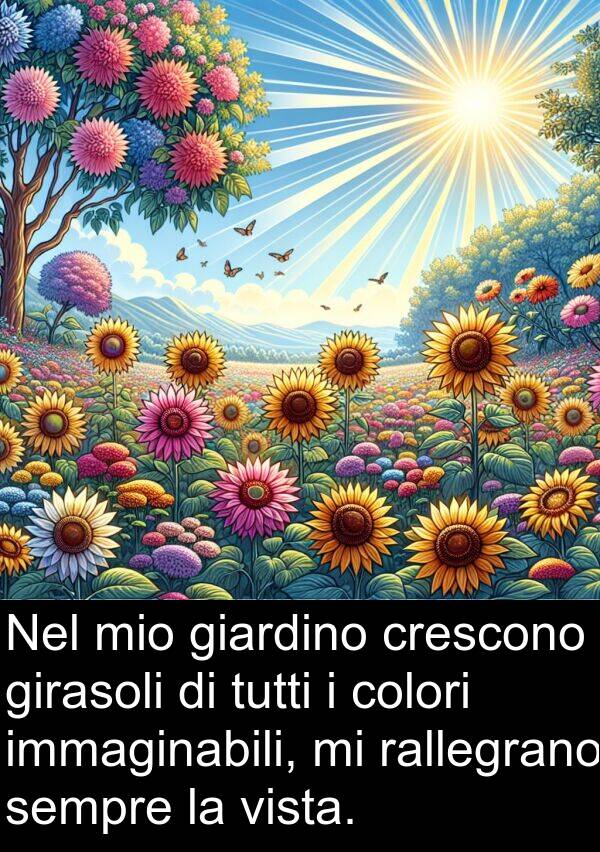 girasoli: Nel mio giardino crescono girasoli di tutti i colori immaginabili, mi rallegrano sempre la vista.