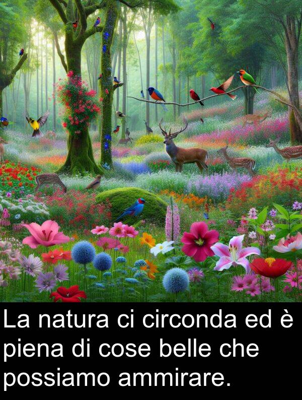 natura: La natura ci circonda ed è piena di cose belle che possiamo ammirare.