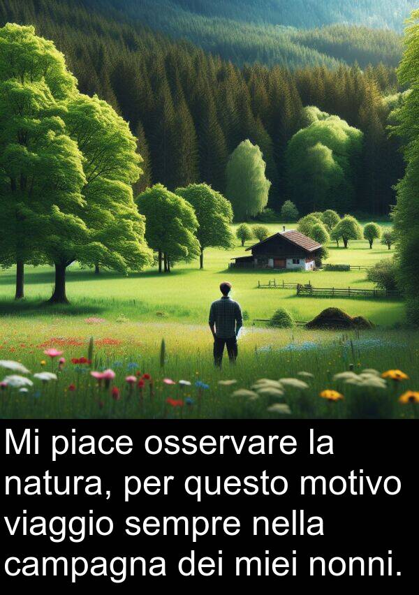 campagna: Mi piace osservare la natura, per questo motivo viaggio sempre nella campagna dei miei nonni.