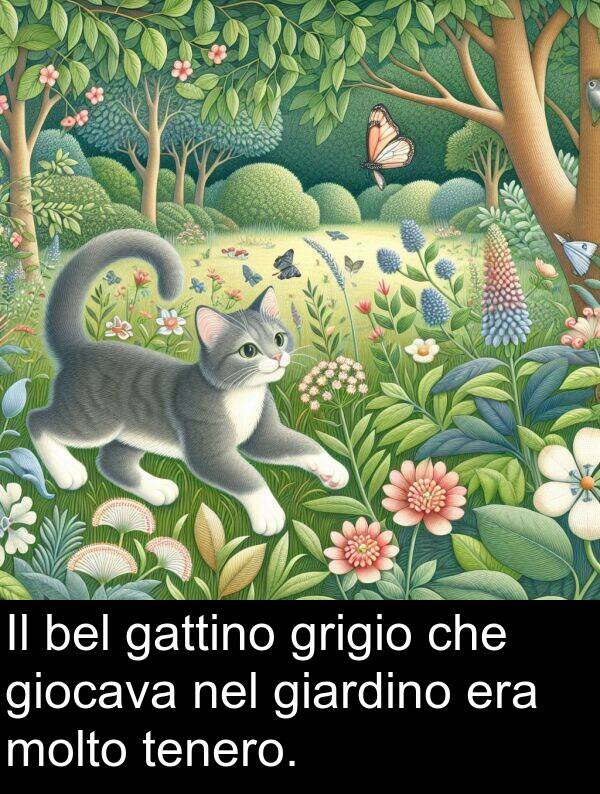 giocava: Il bel gattino grigio che giocava nel giardino era molto tenero.