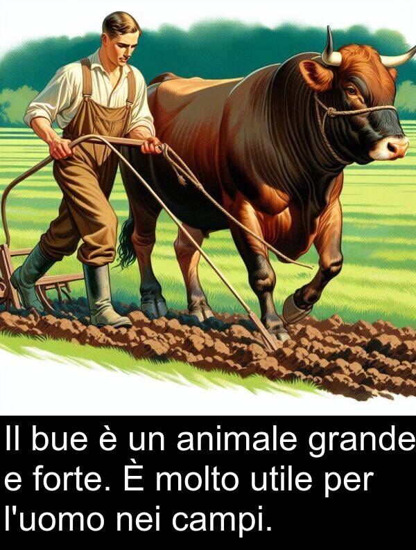 nei: Il bue è un animale grande e forte. È molto utile per l'uomo nei campi.