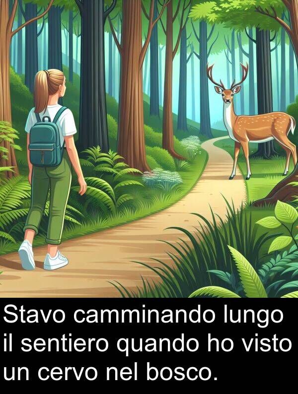 camminando: Stavo camminando lungo il sentiero quando ho visto un cervo nel bosco.