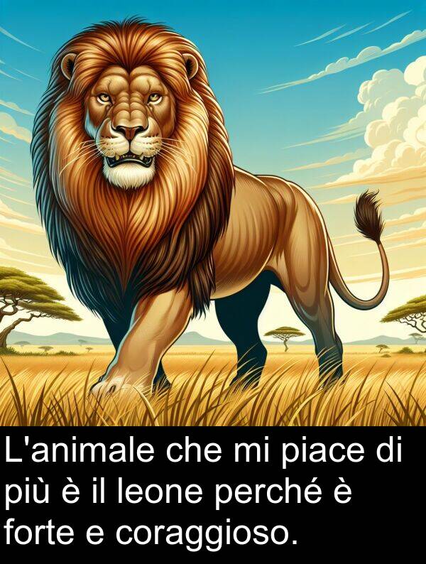 leone: L'animale che mi piace di più è il leone perché è forte e coraggioso.