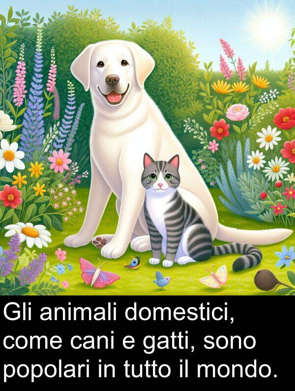 come: Gli animali domestici, come cani e gatti, sono popolari in tutto il mondo.