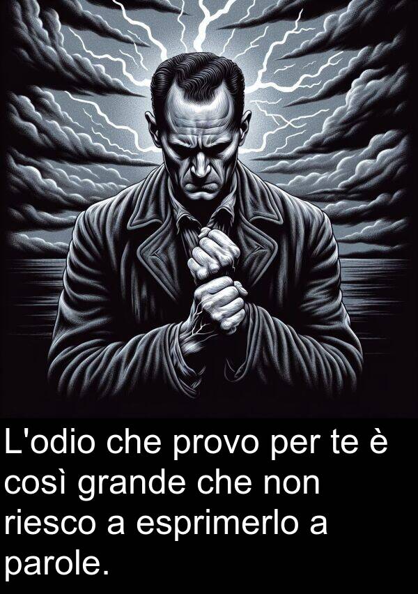 parole: L'odio che provo per te è così grande che non riesco a esprimerlo a parole.