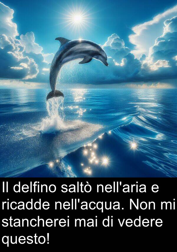 vedere: Il delfino saltò nell'aria e ricadde nell'acqua. Non mi stancherei mai di vedere questo!