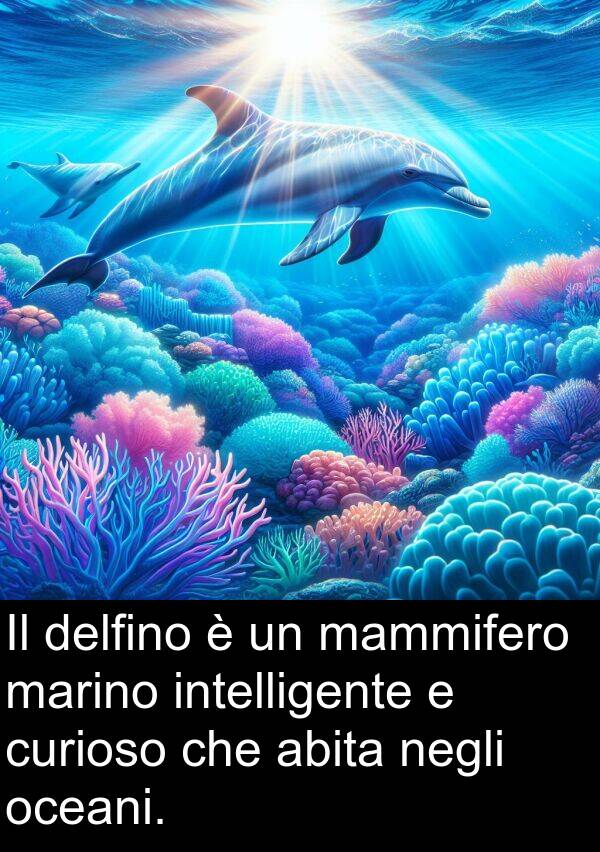 abita: Il delfino è un mammifero marino intelligente e curioso che abita negli oceani.