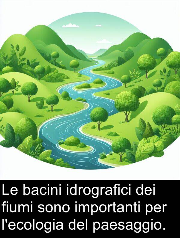 paesaggio: Le bacini idrografici dei fiumi sono importanti per l'ecologia del paesaggio.