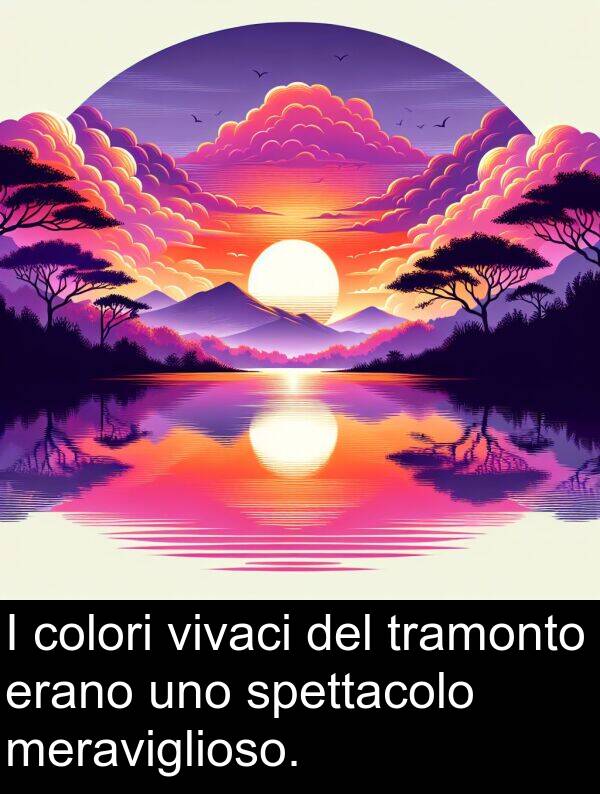 uno: I colori vivaci del tramonto erano uno spettacolo meraviglioso.